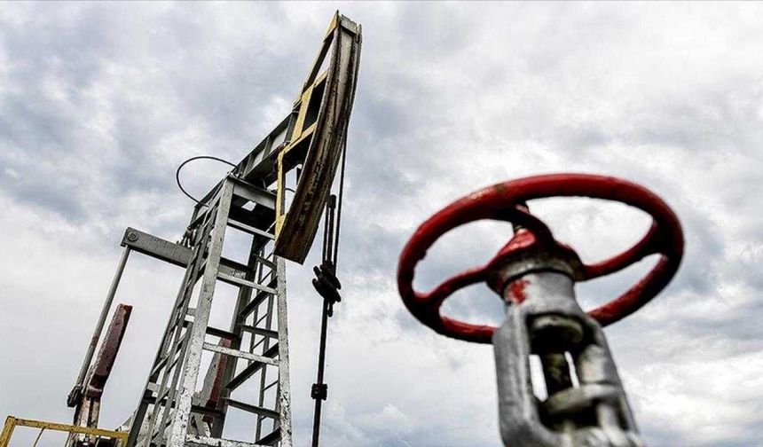 Endonezya petrol tedarikinde rotasını Afrika'ya çevirdi
