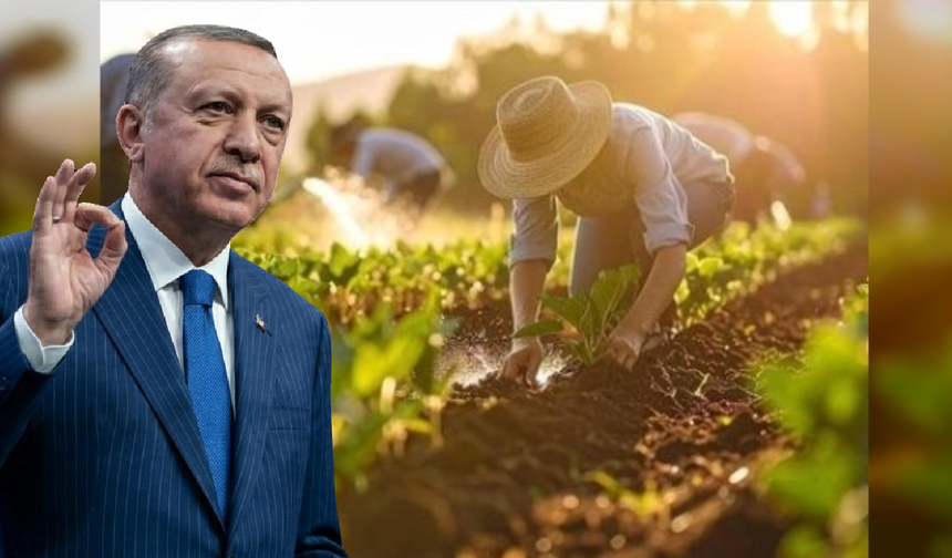Erdoğan’dan çiftçiye müjde! İran krizi maliyetlerine karşı destekler artıyor