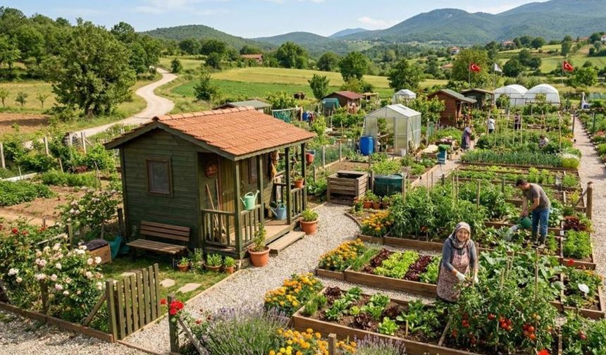 Resmi Gazete'de yayımlandı: Hobi bahçelerinde yeni dönem!