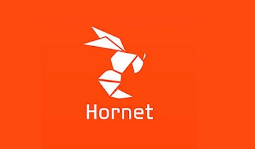 "Hornet" uygulamasına soruşturma