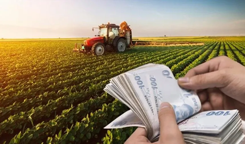 Köye dönmek isteyenlere devletten 30 milyon lira kredi