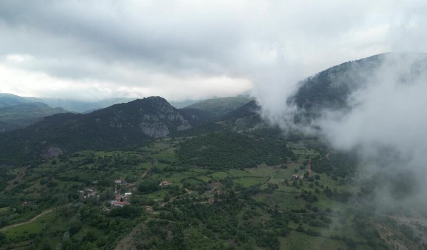 Amasya'da ormanlık alanlara girişler yasaklandı
