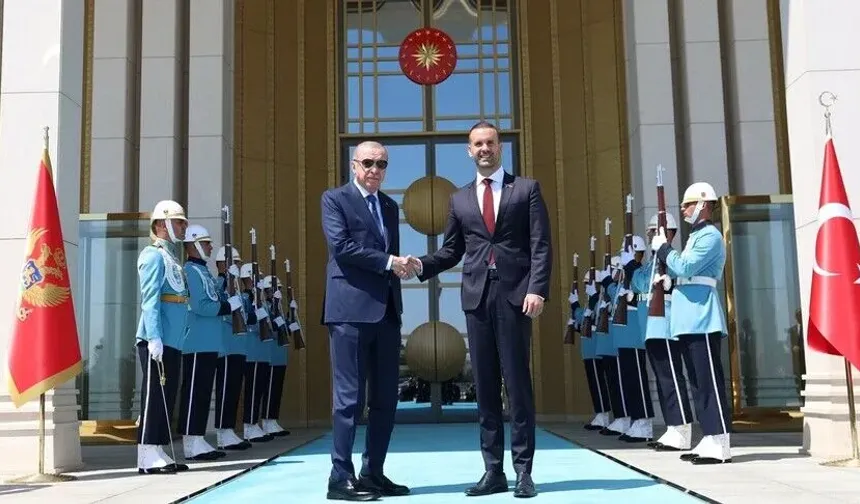 Cumhurbaşkanı Erdoğan, Karadağ Başbakanı Spajic'i kabul etti