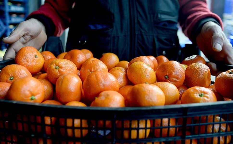 25 ülkeye ihracat yapan dev şirket konkordato sürecine girdi