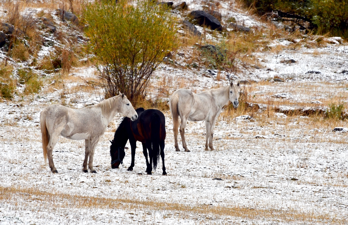 Sarıkamış'ta kar ve sonbahar manzarası kartpostalları aratmadı