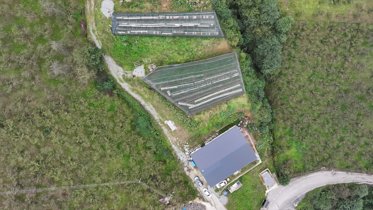 Trabzon'dan dünyaya salyangozla ürettiği cilt bakım ürünlerini satıyor