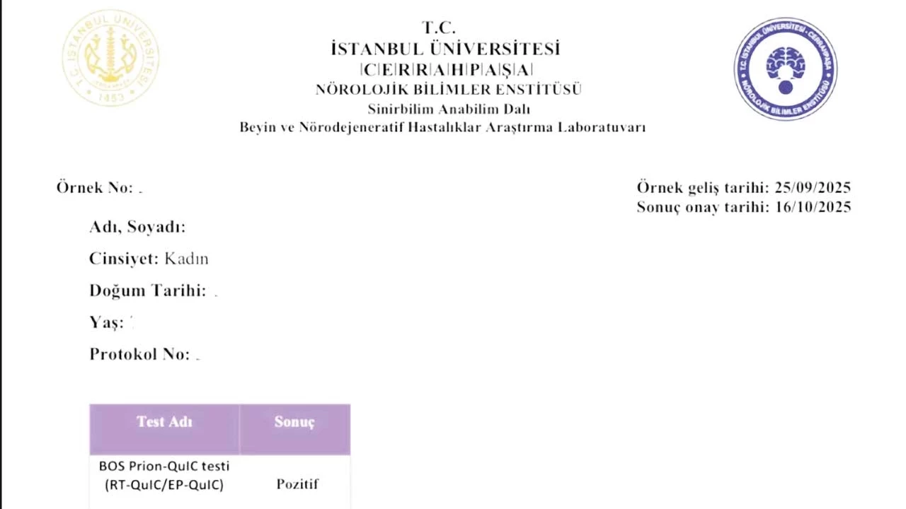 Boluda Da Bir Deli Dana Vakasi Cikti Aqye