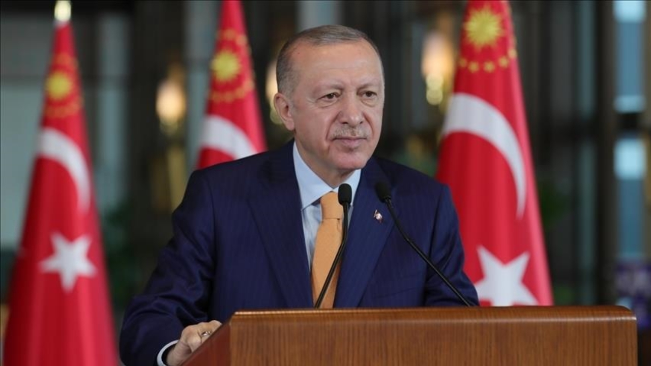 Erdogann-1