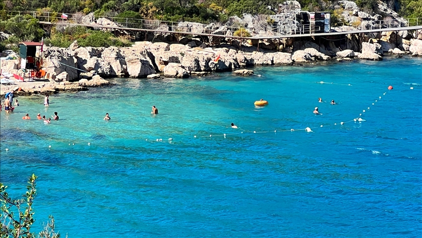 Thumbs B C 5E136Bb54E1Ac9471931084D704E7957