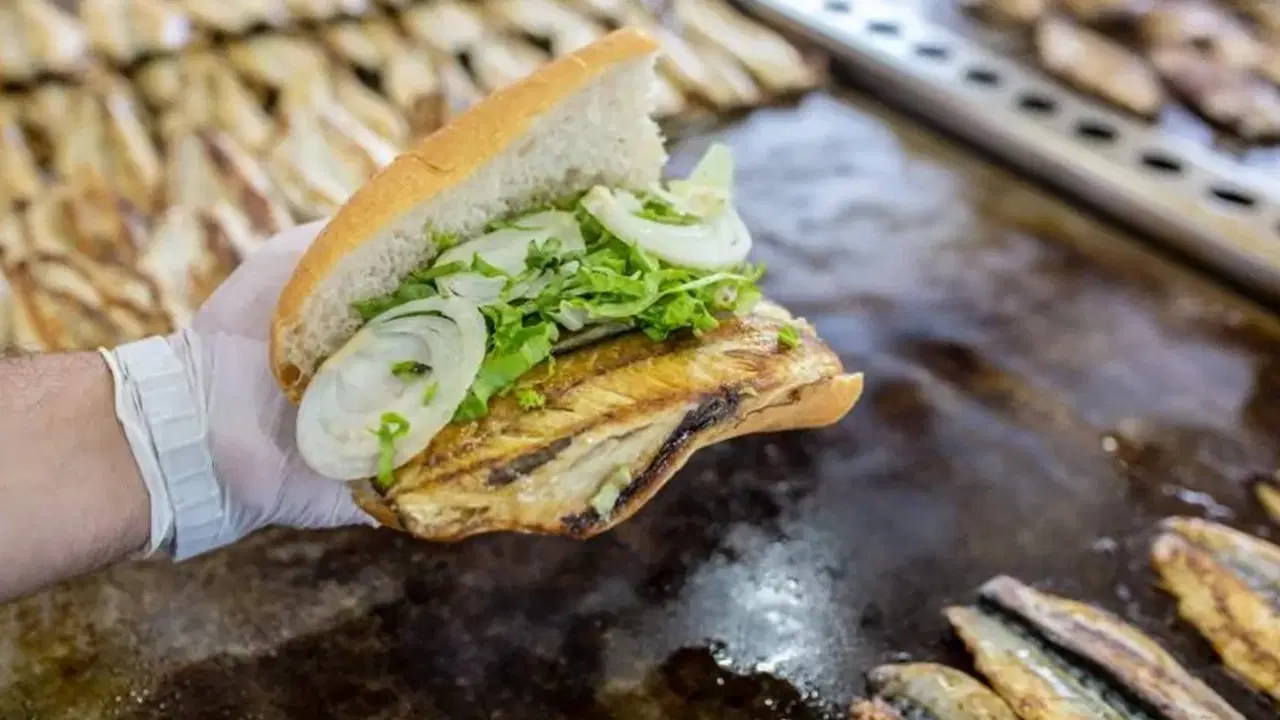 0Abe471D D6A5 45Bc 9503 360Fd118Ed68