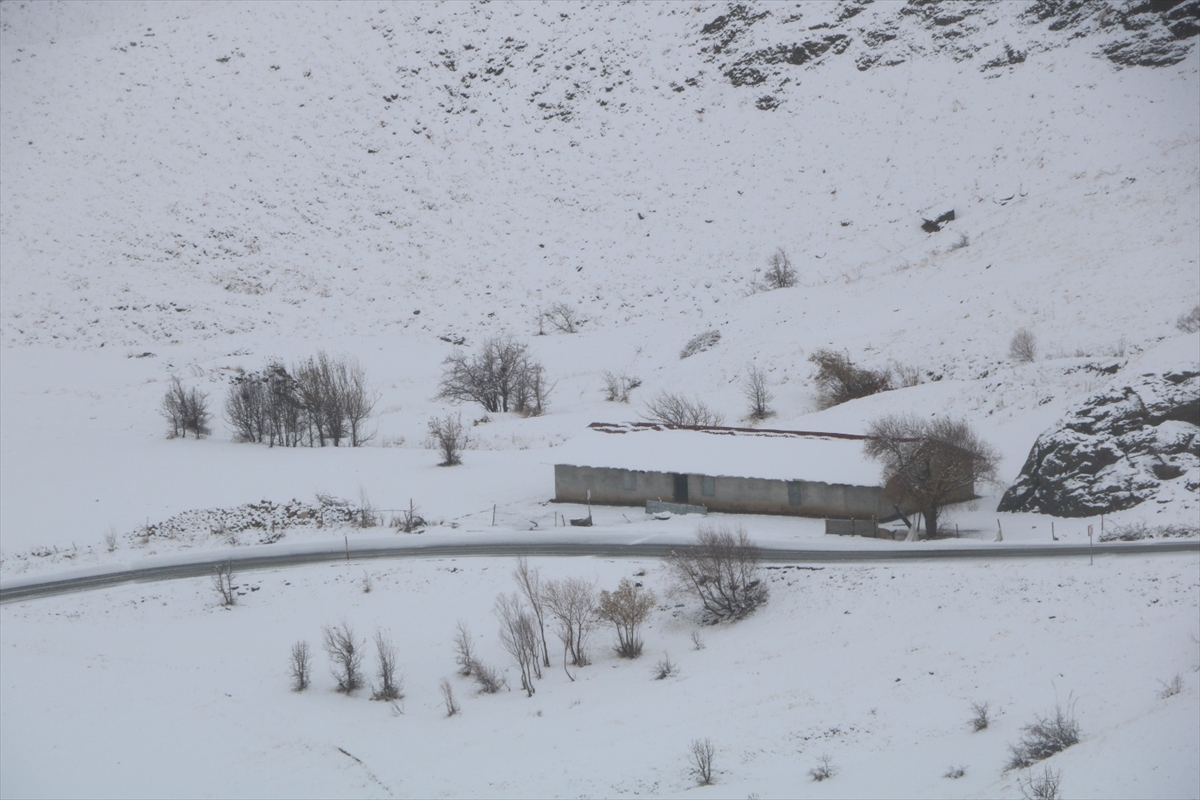 A A 20251116 39721321 39721314 H A K K A R I D E K A R Y A G I S I