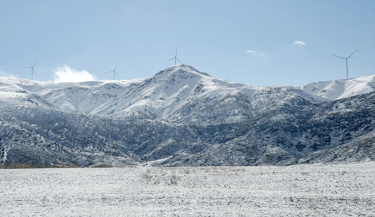 A A 20251116 39721425 39721423 B I T L I S T E K A R