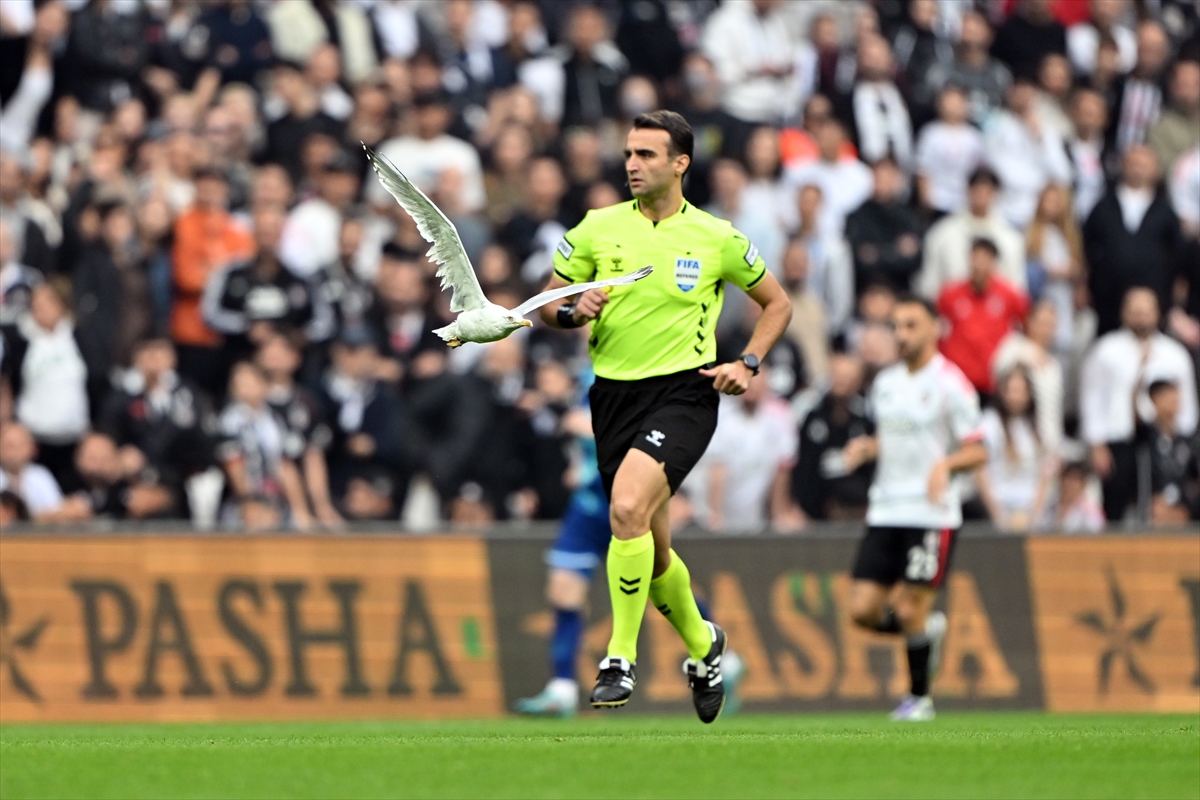 A A 20251123 39785558 39785553 B E S I K T A S S A M S U N S P O R