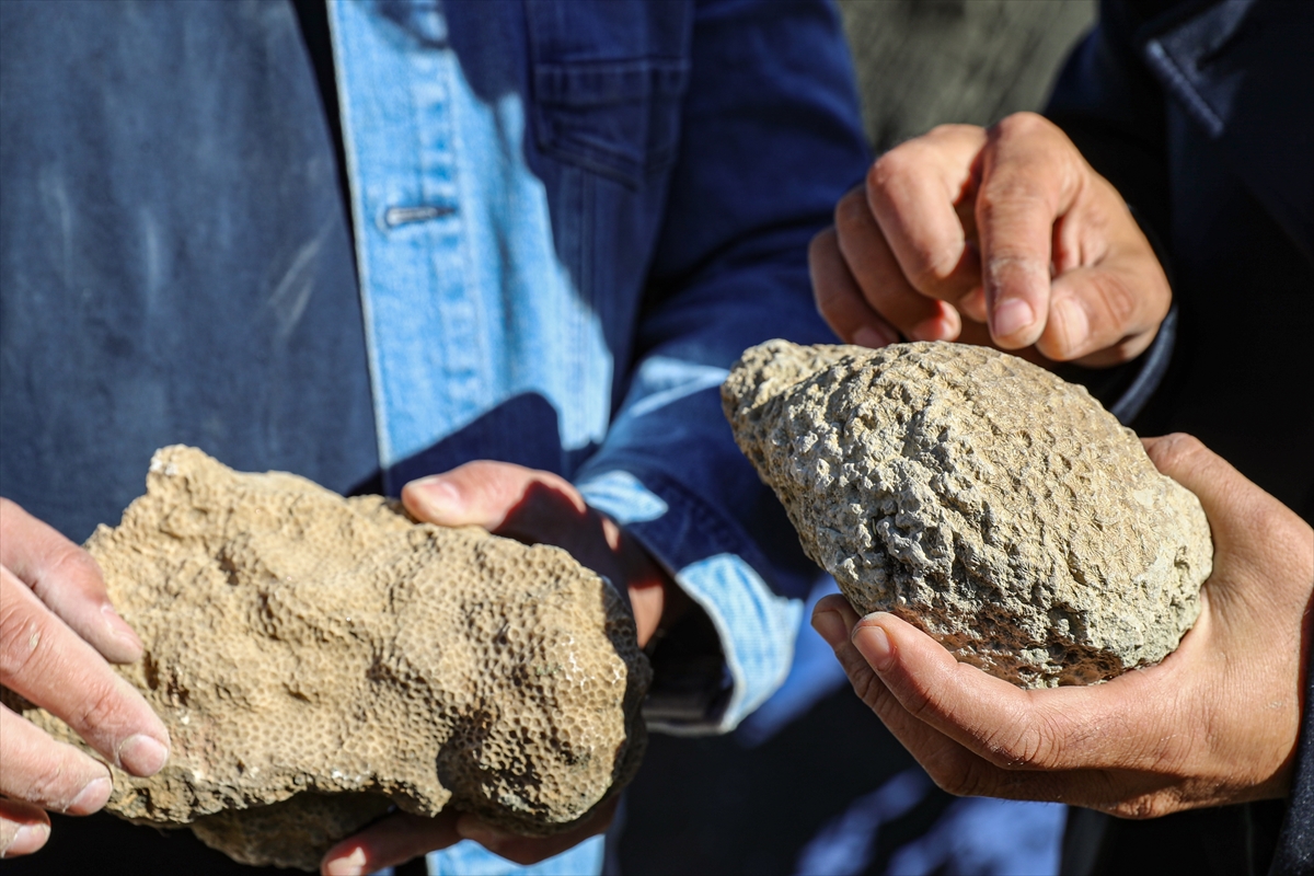 A A 20251128 39833189 39833181 B I N G O L D E 50 M I L Y O N Y I L L I K O L D U K L A R I D E G E R L E N D I R I L E N D E N I Z C A N L I S I F O S I L L E R I B U L U N D U