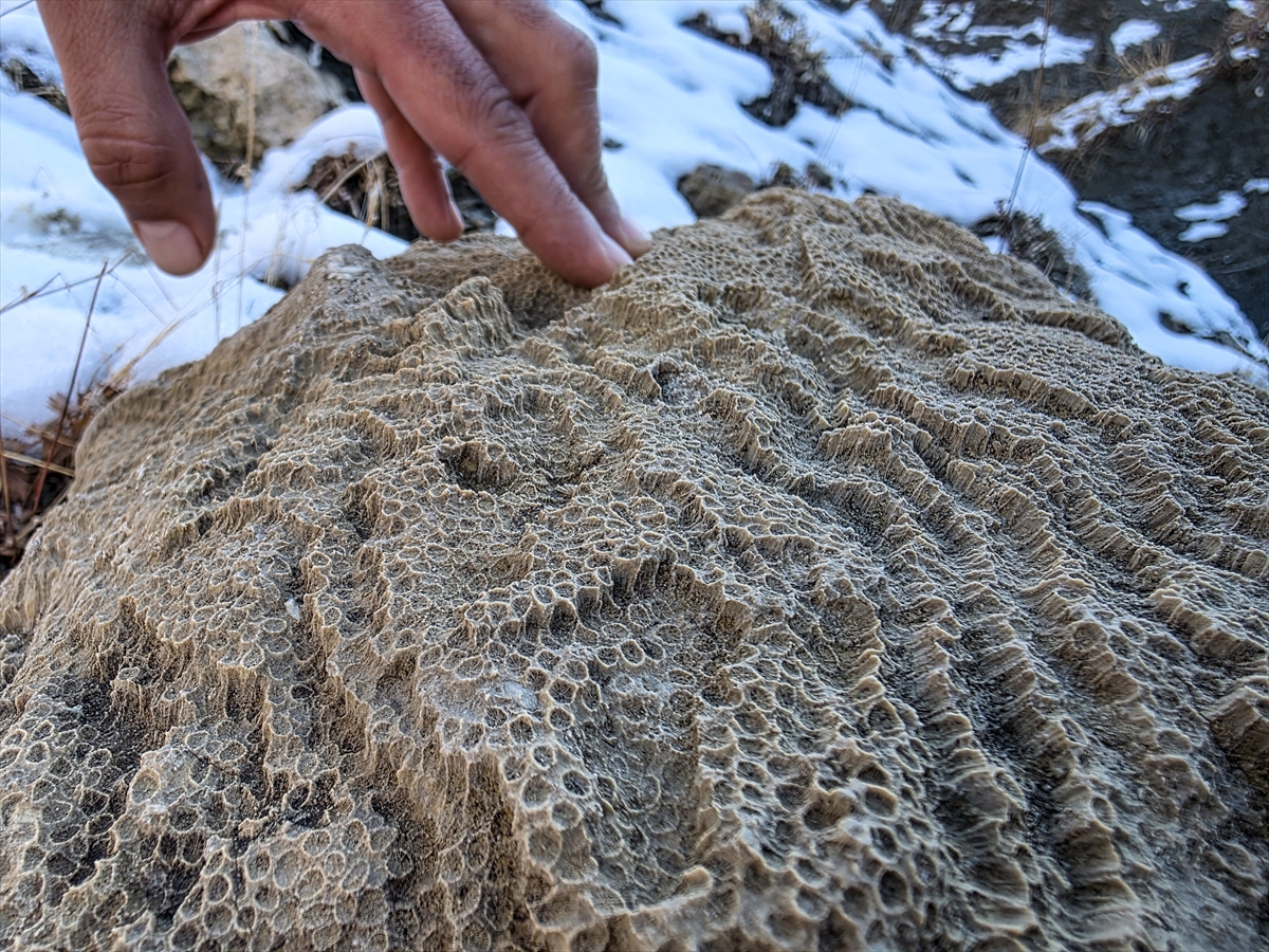 A A 20251128 39833189 39833183 B I N G O L D E 50 M I L Y O N Y I L L I K O L D U K L A R I D E G E R L E N D I R I L E N D E N I Z C A N L I S I F O S I L L E R I B U L U N D U