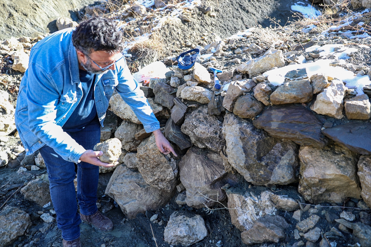 A A 20251128 39833189 39833186 B I N G O L D E 50 M I L Y O N Y I L L I K O L D U K L A R I D E G E R L E N D I R I L E N D E N I Z C A N L I S I F O S I L L E R I B U L U N D U