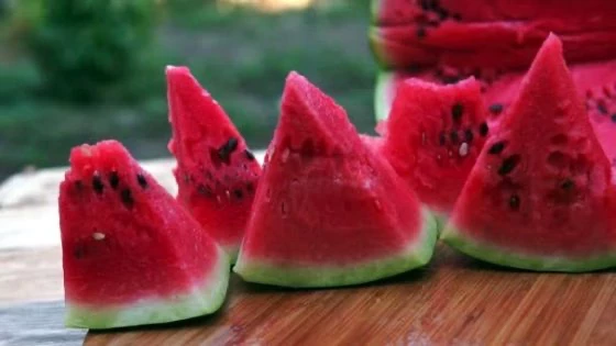 Freshmeyveler5 560X315 Mbut