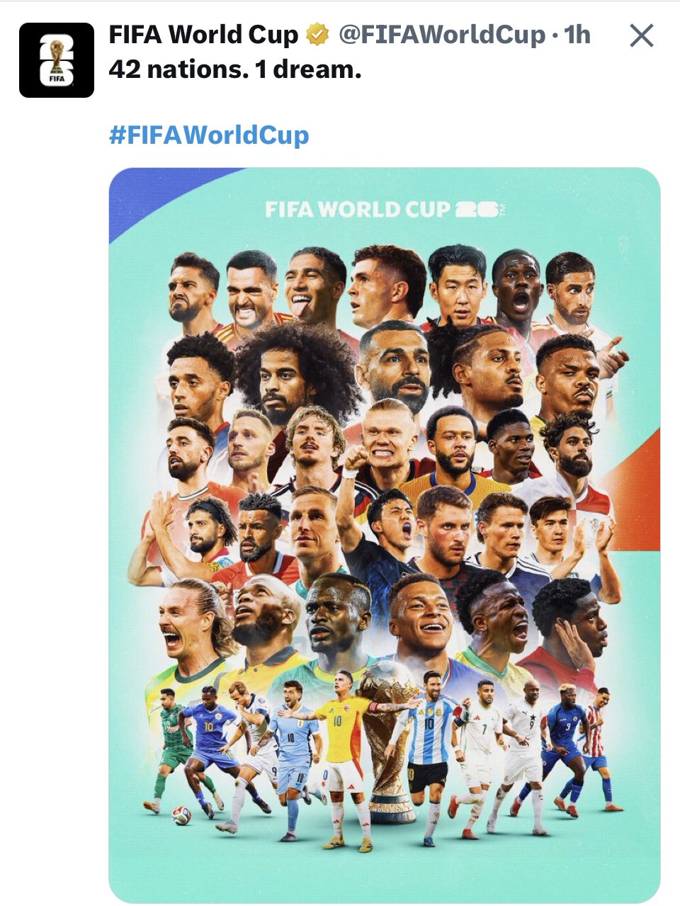 G6 O Lc5M W Y A Amn U