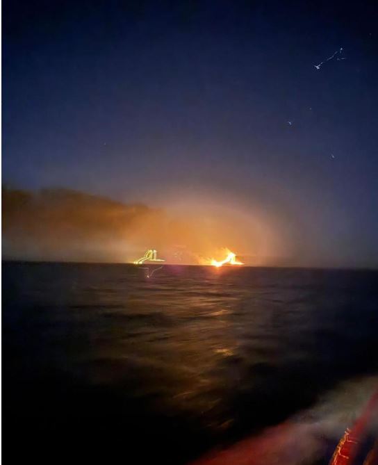 K D E N Z P A T L A M A55-1