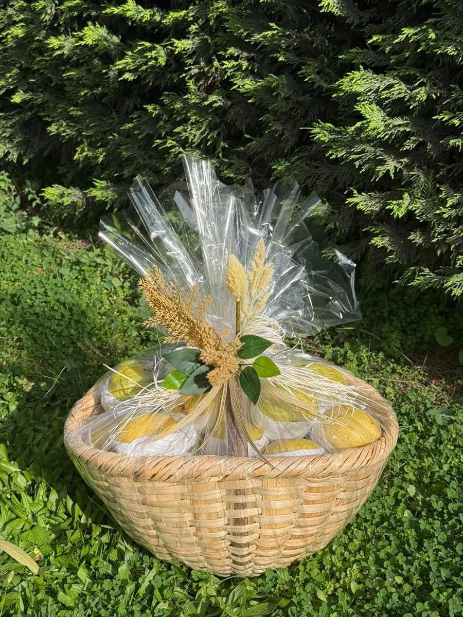 Papayabursadahediyeler (2)