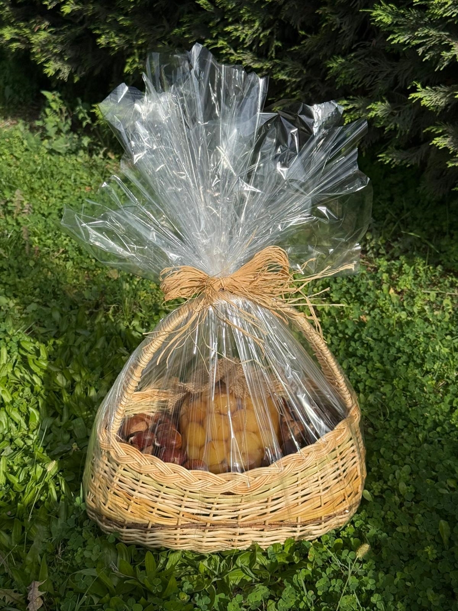 Papayabursadahediyeler (3)