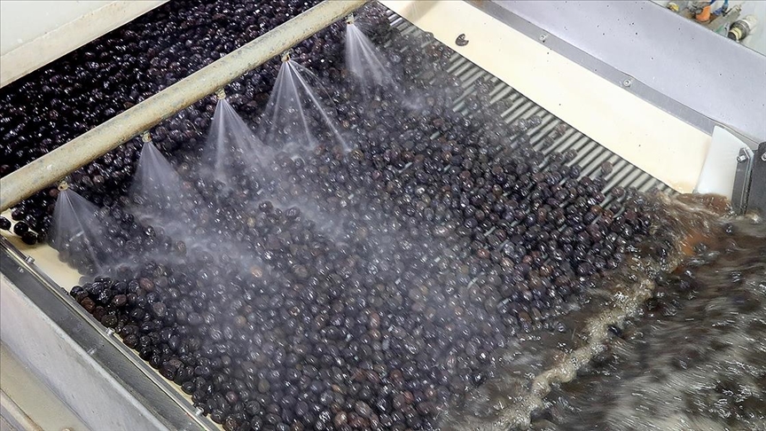 Thumbs B C 8E17330C3088Ffd64Bef3F2C0Dc94578