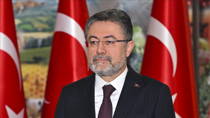 Thumbs B C 9Dd6Acd741557388A0B991E02D67D947