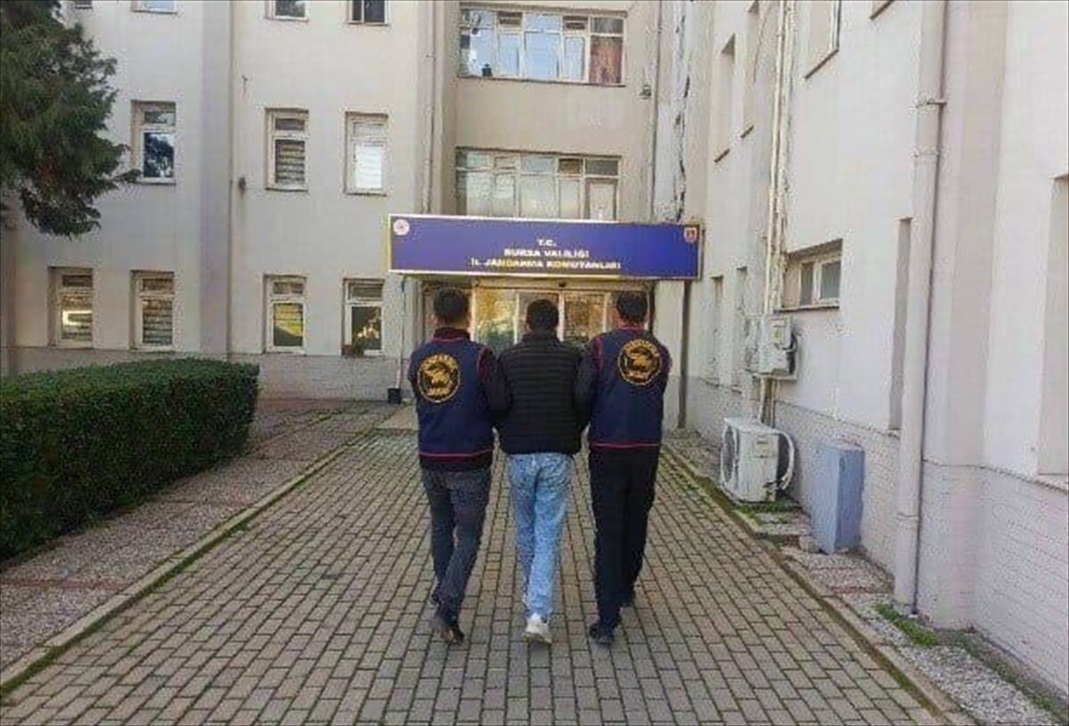 1 Milyonluk 'Tiny House'u Çalmıştı 1