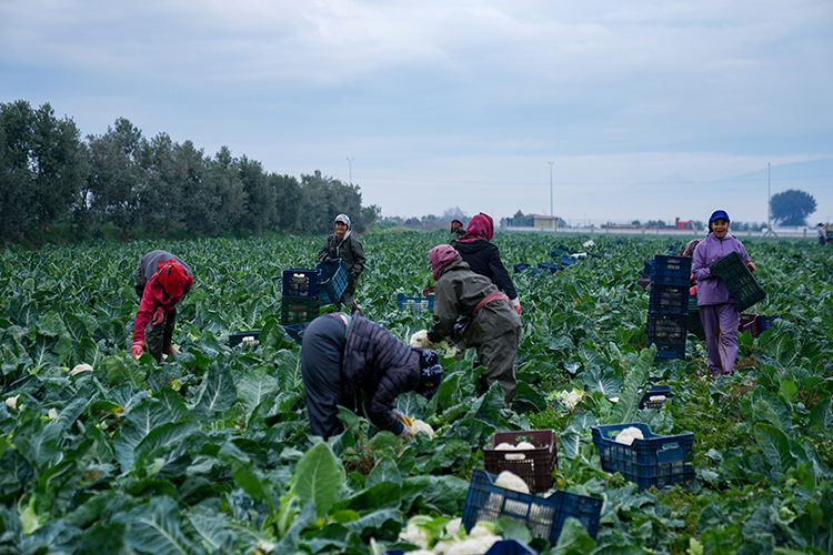 2025 12 11122025 Izmir1