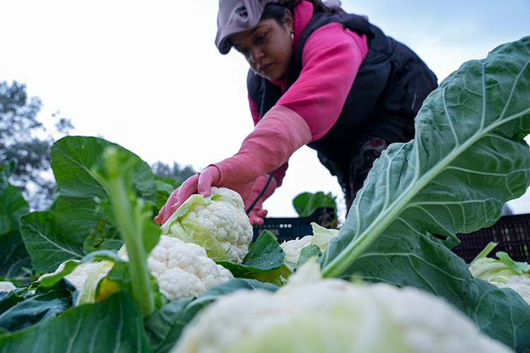 2025 12 11122025 Izmir2