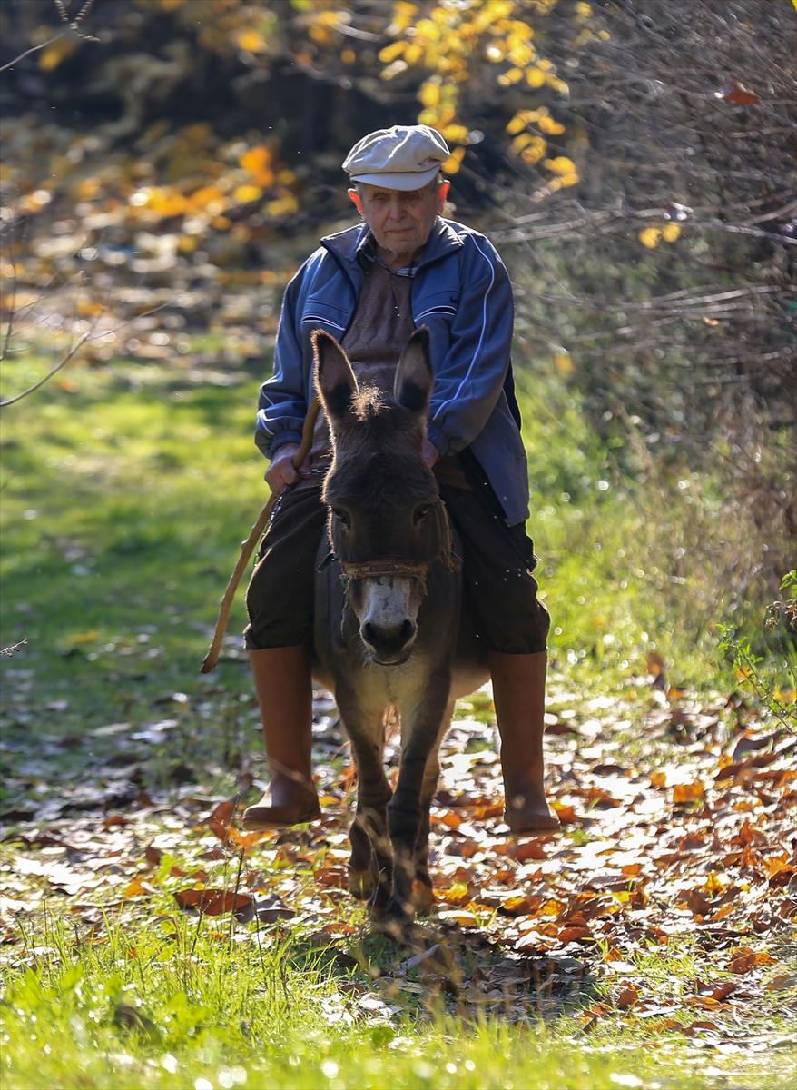 A A 20251211 39950722 39950716 G O R M E E N G E L L I R A I F D E D E Y O L U N U 24 Y I L D I R E S E G I M A G A R E S A Y E S I N D E B U L U Y O R