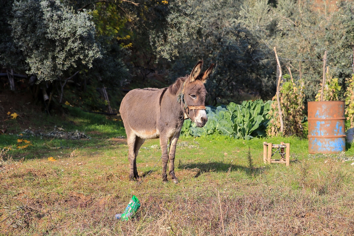 A A 20251211 39950722 39950721 G O R M E E N G E L L I R A I F D E D E Y O L U N U 24 Y I L D I R E S E G I M A G A R E S A Y E S I N D E B U L U Y O R