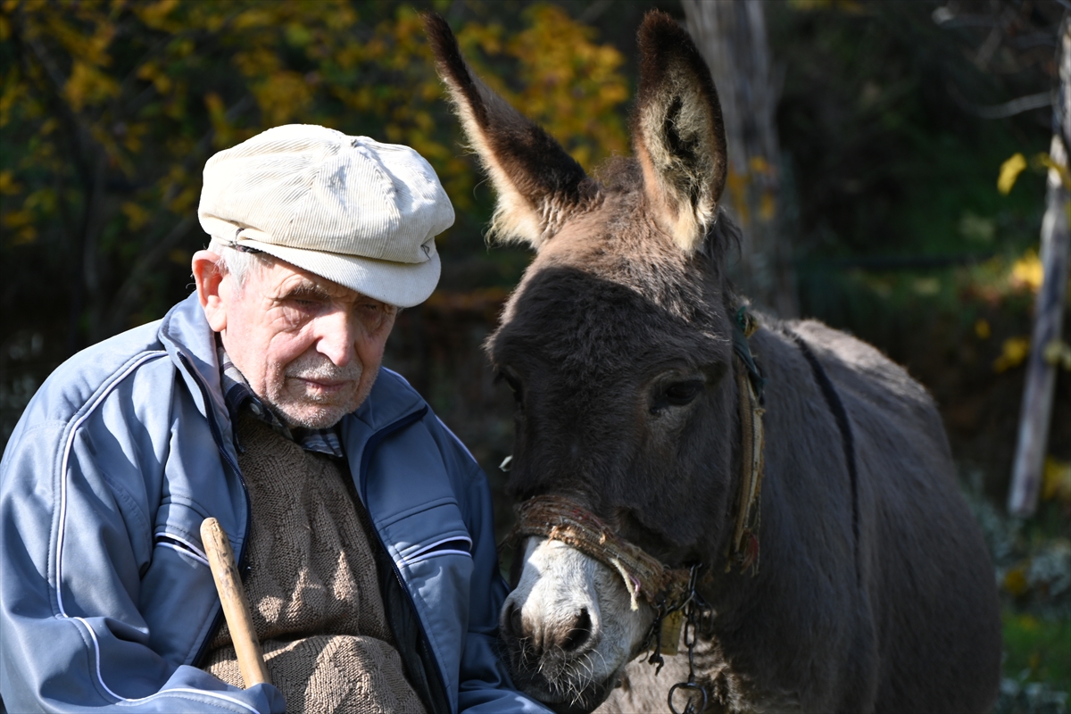 A A 20251211 39950798 39950796 G O R M E E N G E L L I R A I F D E D E Y O L U N U 24 Y I L D I R E S E G I M A G A R E S A Y E S I N D E B U L U Y O R