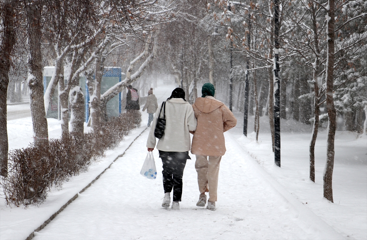 erzurum kar yağışı