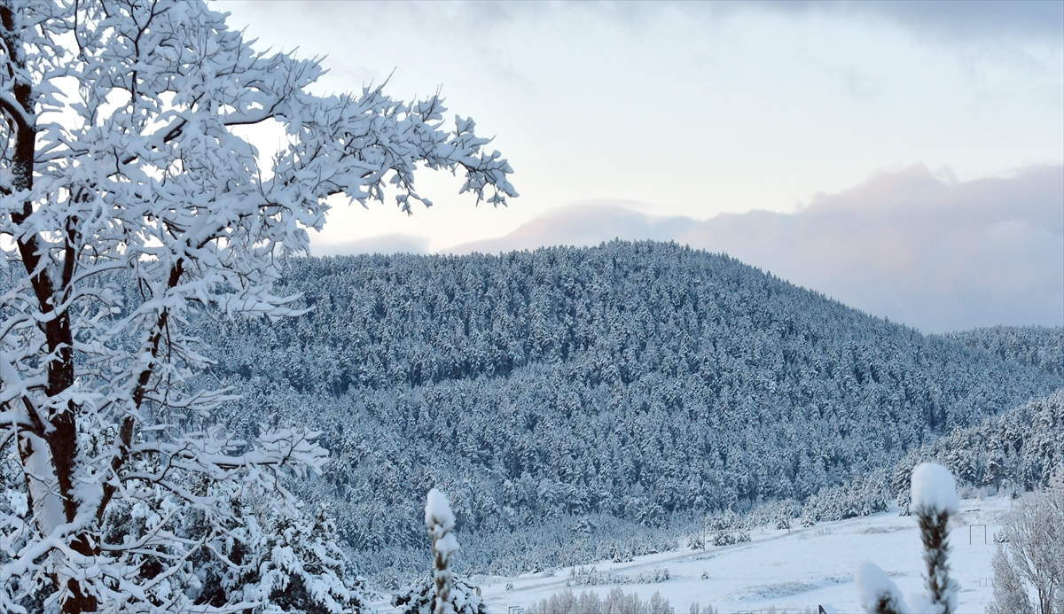 Aa 20251214 39975684 39975679 Karsta Etkili Olan Kar Yagisi Saricam Ormanlarini Beyaza Burudu (1)