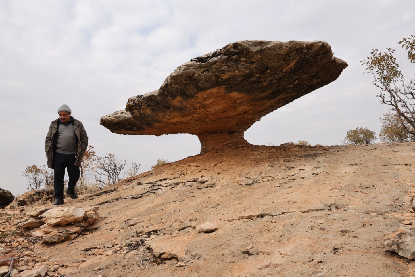 6 milyon yıllık hazine! Buzul çağından kalan dev miras