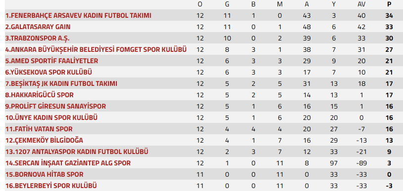 Ekran Görüntüsü 2025 12 15 112328