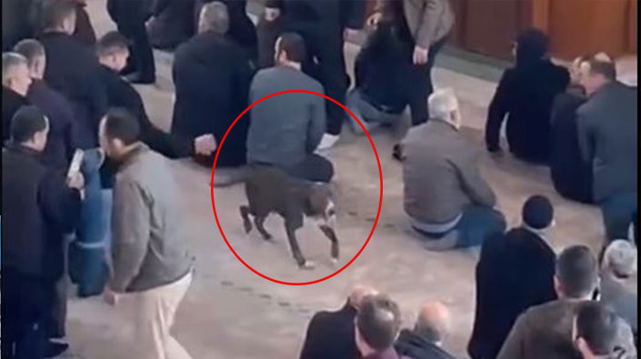 G8Jrnkm W A A At Yqi