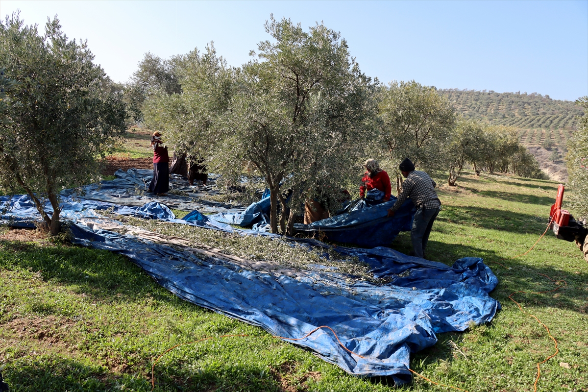 Muhtar Mahalleliyi Ise Aldi 3