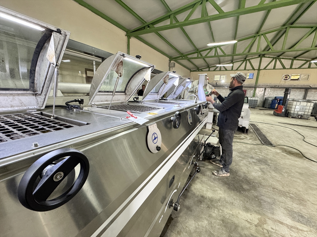 Muhtar Mahalleliyi Ise Aldi 4