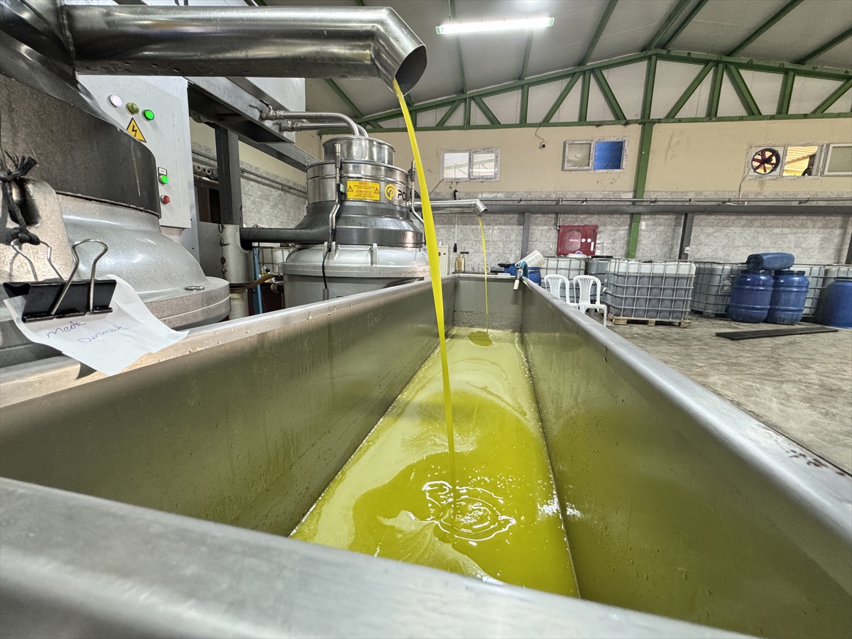 Muhtar Mahalleliyi Ise Aldi 5