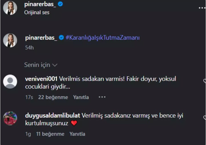 P İ N A R E R B A S4646