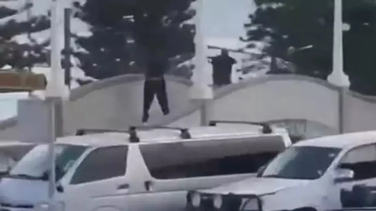 Plajdasilahlisaldiricoksayidayarali-1