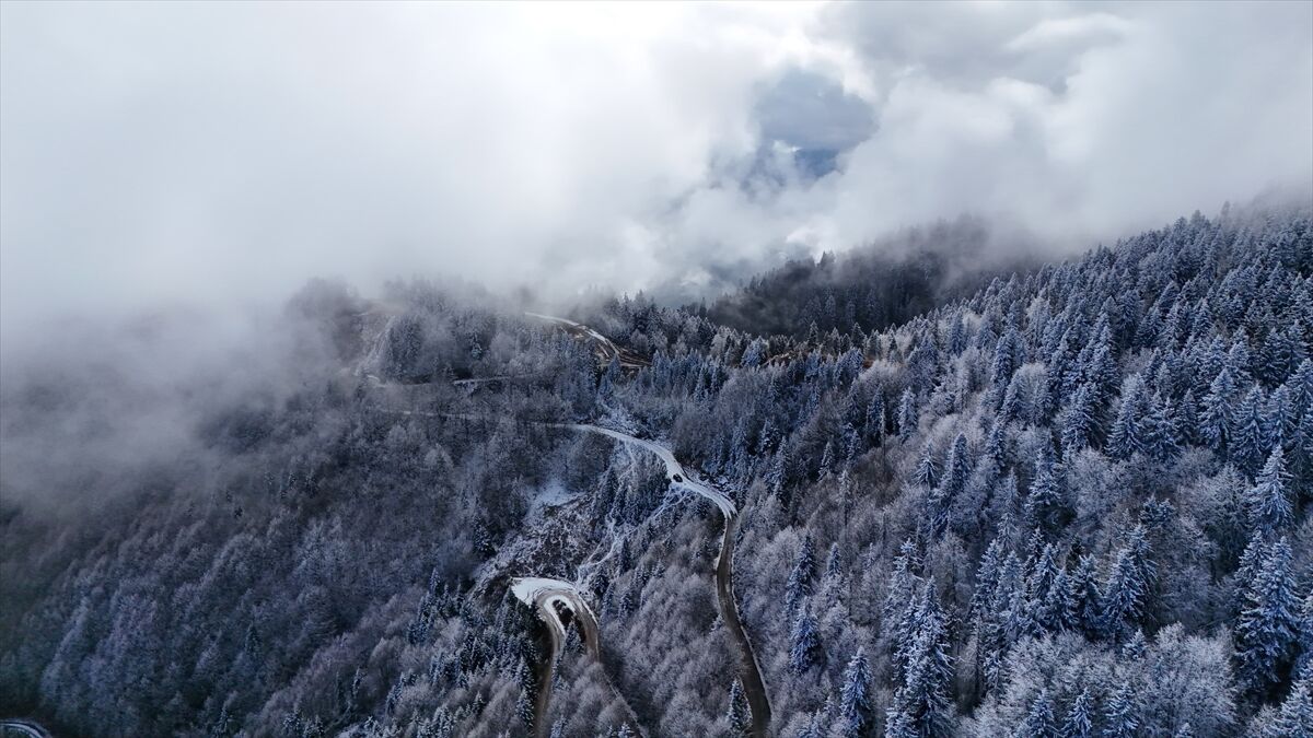Rize ve Artvin'de kar yağdı