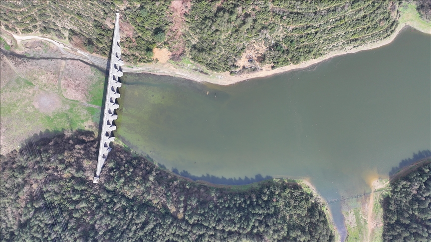 Thumbs B C 548A8434376741F6061C02C30D7A6Dc2