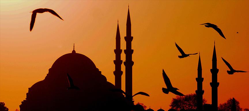 Thumbs B C 768D7Cb8Af7A4Ff677227A39F3B0Df3B