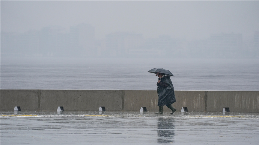 Thumbs B C Fd041Bf09D5E9Bde825Cbd318E853932