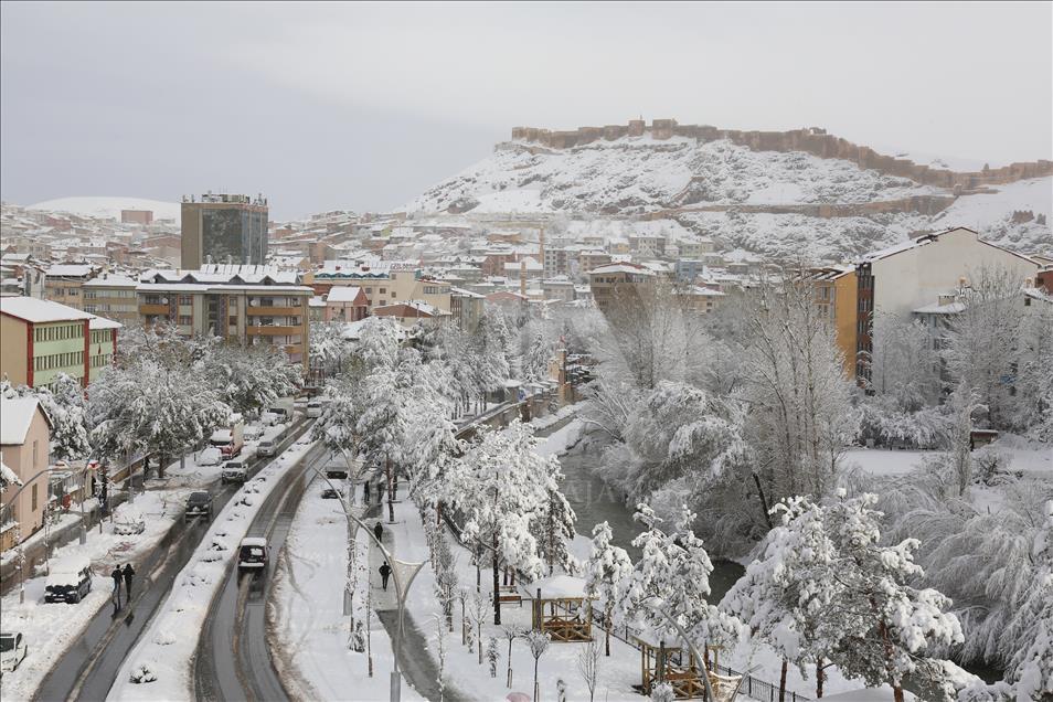 Thumbs B2 21Dd049C2Ee8C6B5Ee0Aeb950E4D47B7