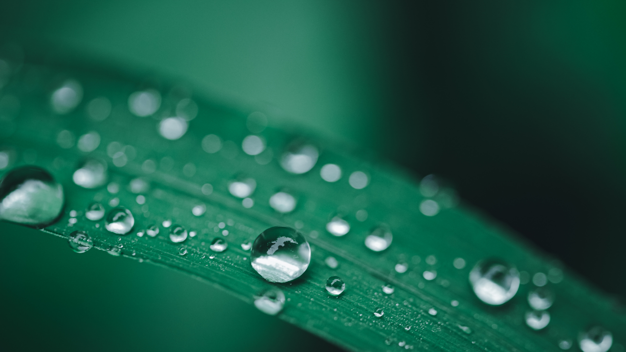 2026 Cemre Düşmesi