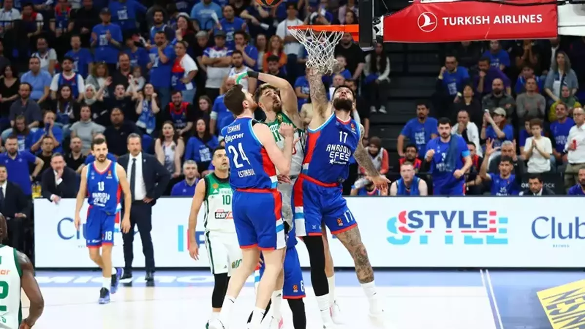 6818C8Eba931E950Ca791B23